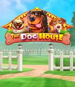 От Pragmatic Play представлен приключении The Dog House, предлагающий очаровательное приключение в мире игривых щенков. Участвуйте в игровых элементах таких как липкие "вайлды", направленных на доставления волнующих выигрышей. Отлично для тех, кто любит легкую атмосферу и возможностью выиграть крупно.